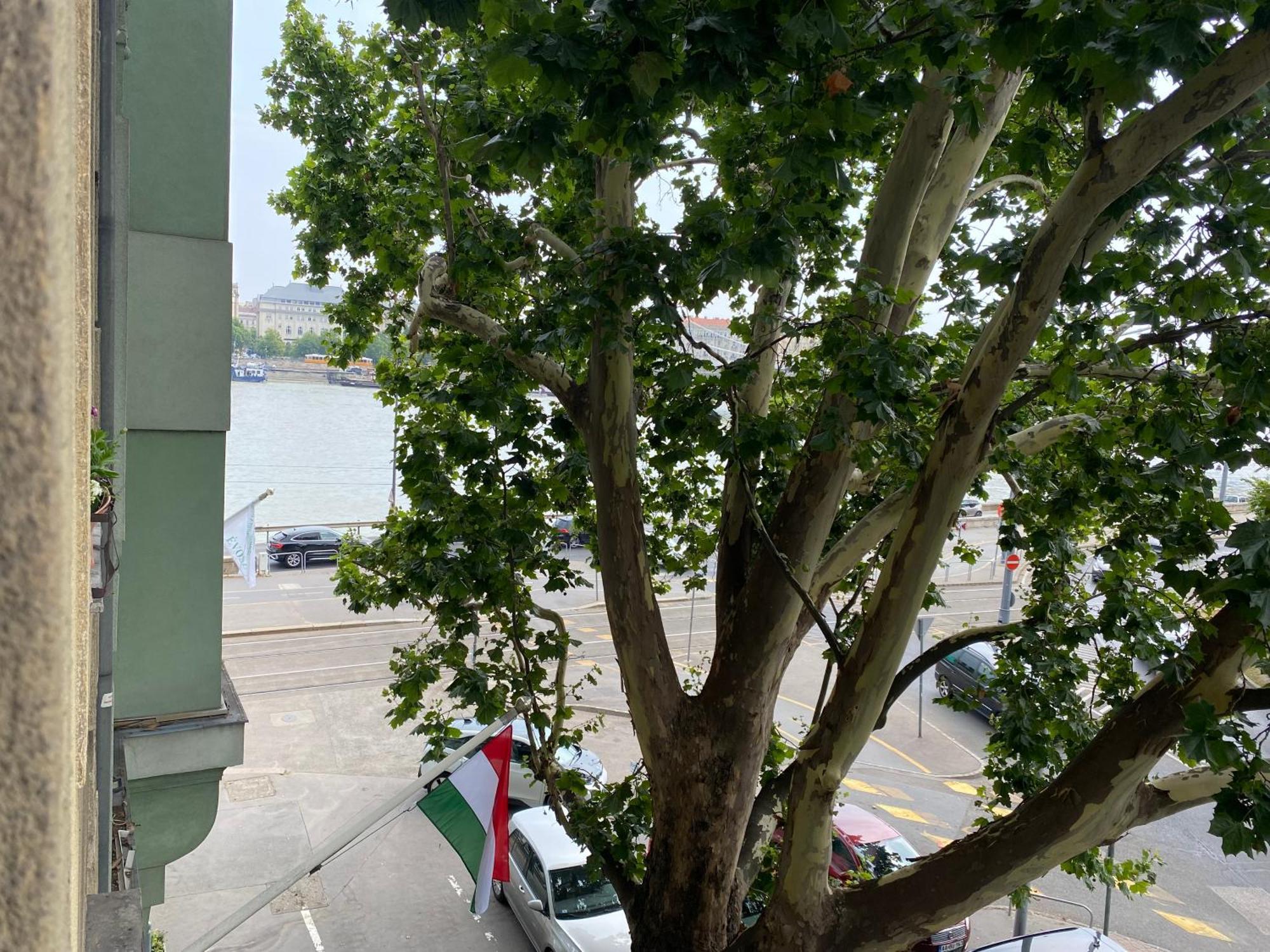 Major Apartman Budapest Exteriör bild